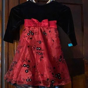NWOT. Girl special occasion long sleeve dress